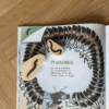 Insekter