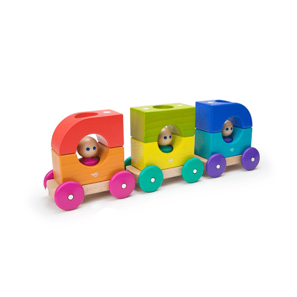 Magnetisk spårvagn Tegu