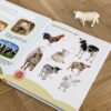 Schleich Schleich