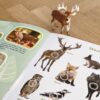 Schleich Schleich