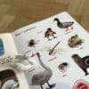 Schleich, 6 djur + bilderbok med ljud
