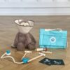 PlanToys