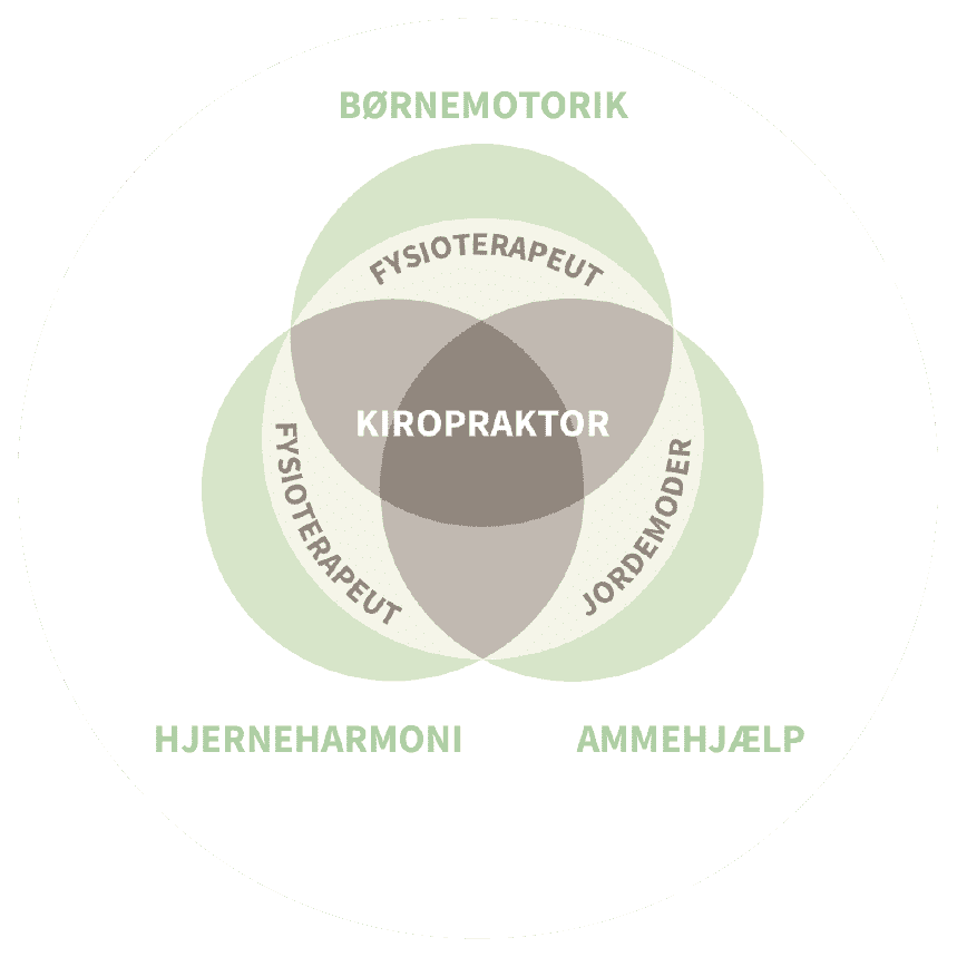 Din Børnekiropraktor