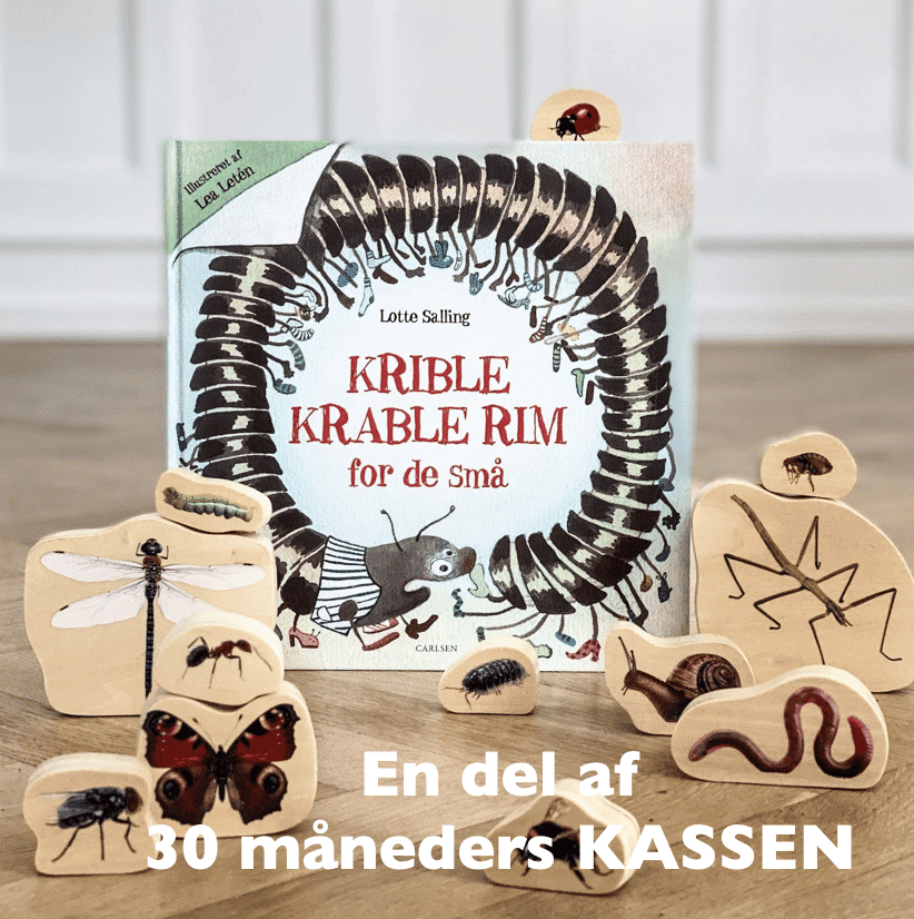 Insektsklossar - 30 månaders låda