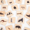 "Wild animal family match" från Tickit