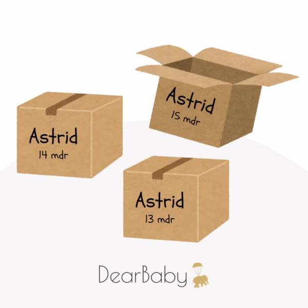 gavekort 12 måneders abonnement dearbaby