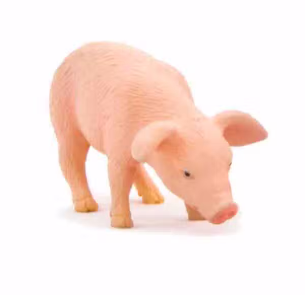 griseunge