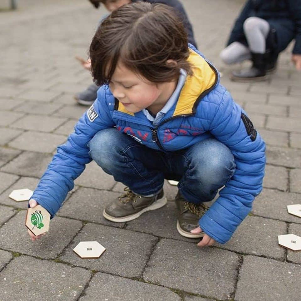 Minne Spel Insekter BS Leksaker