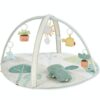 Garden Oasis babygym från SkipHop