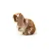 Teddy Hermann - Sittande kanin vit-mörkbrun 20 cm