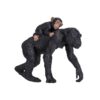 Chimpanse med unge
