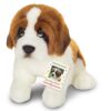 Sankt Bernhardshund Teddy Hermann