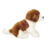 Sankt Bernhardshund Teddy Hermann