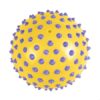 gul sansebold edushape 705172 yellow/purple