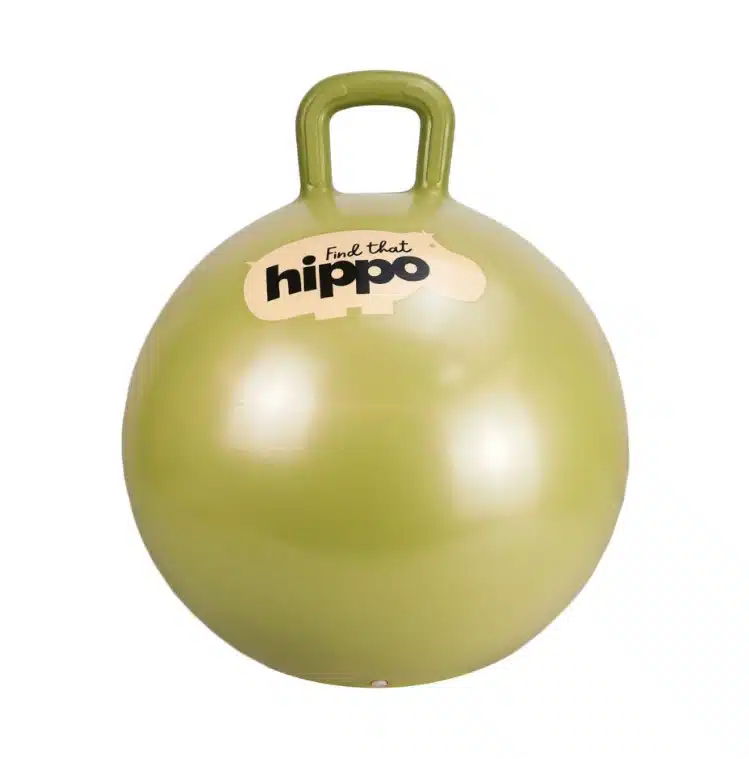 find_that_hippo_hoppebold_old_gold_b_rn_sanseliv1723710667.218.PNG