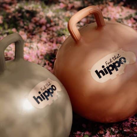 Hoppebold find that hippo persian orange find that hippo 3