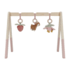 Little Dutch - Babygym - Fairy Garden LD9010