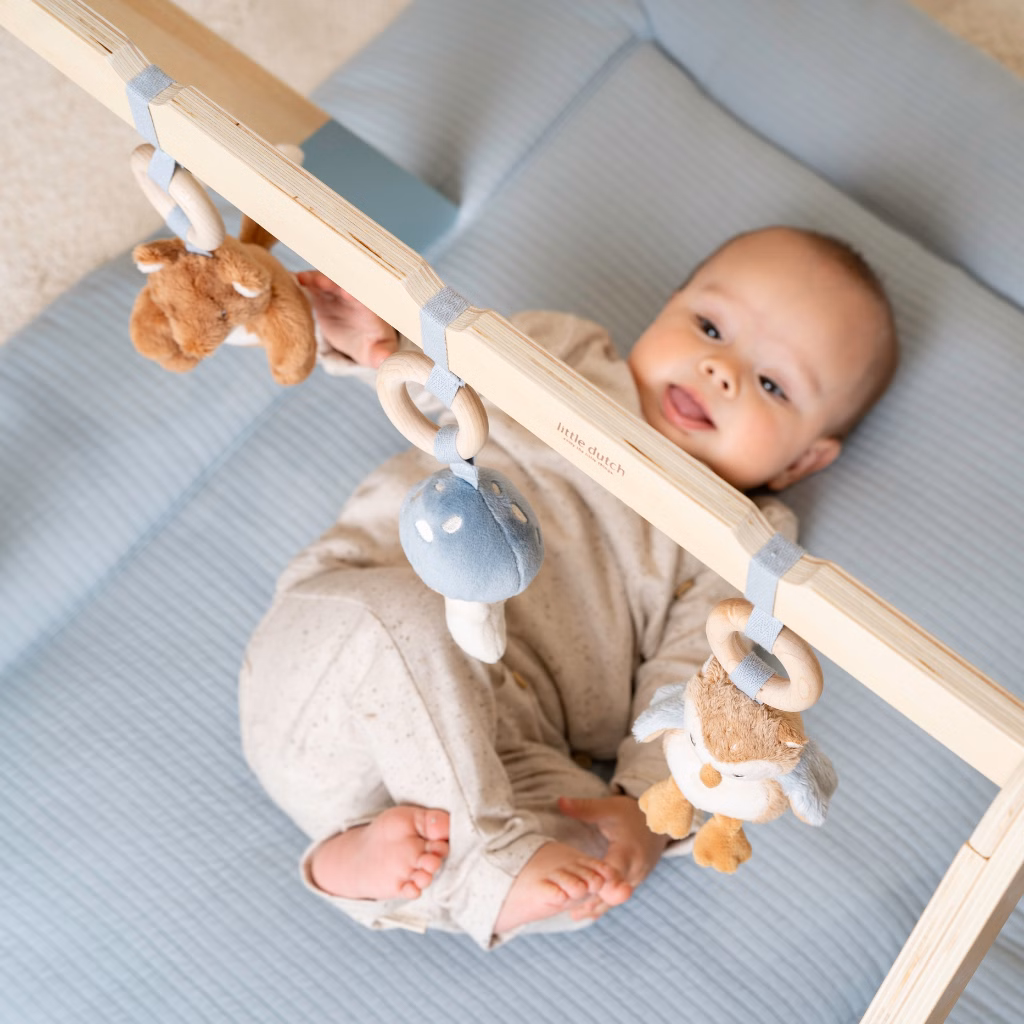 Little Dutch - Babygym - Forest Friends LD8910