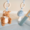 Little Dutch - Babygym - Forest Friends LD8910