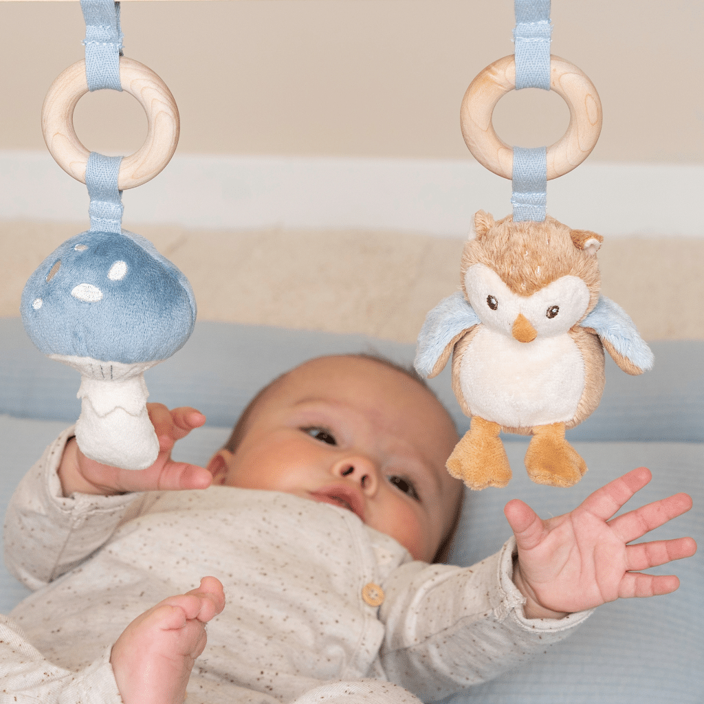 Little Dutch - Babygym - Forest Friends LD8910