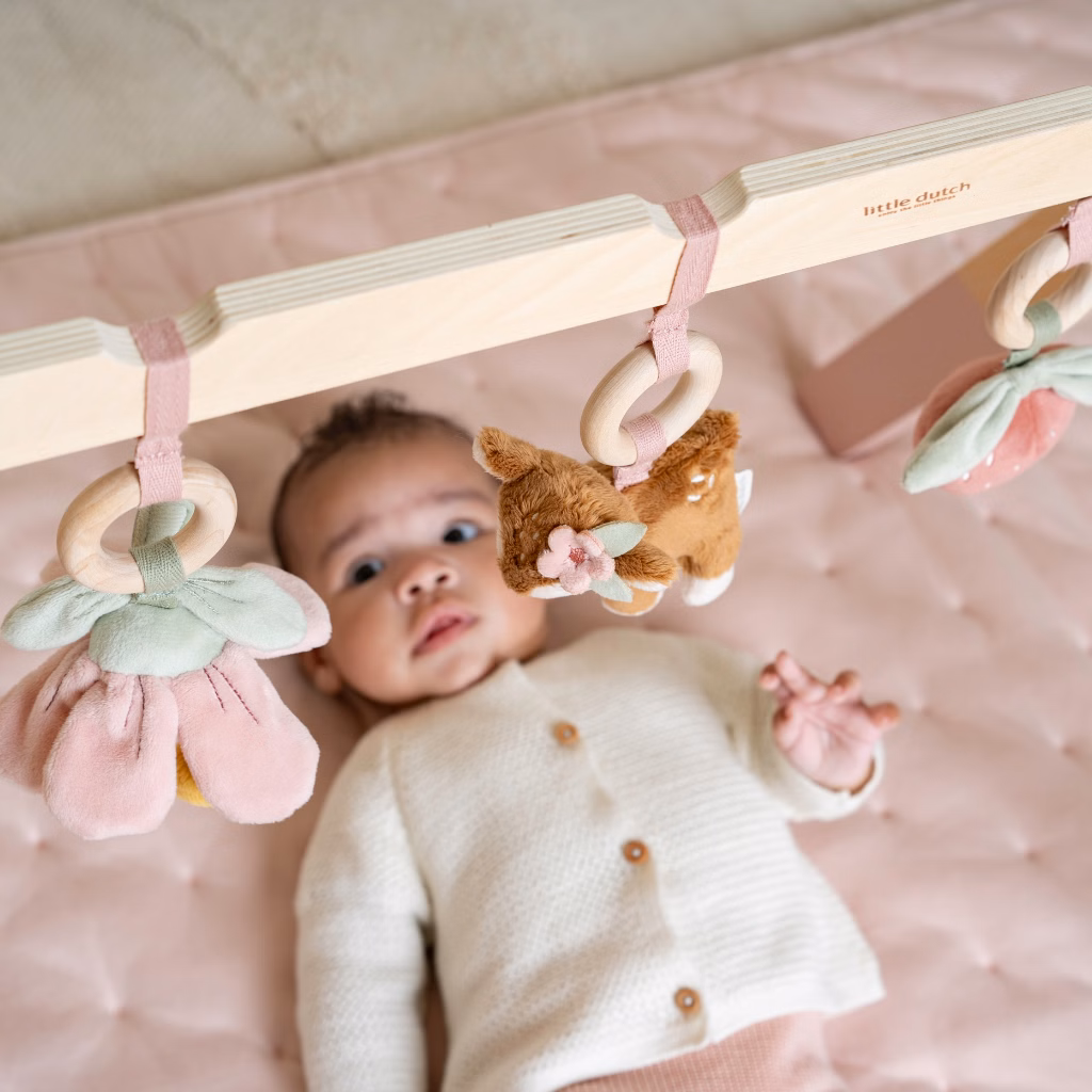 Little Dutch - Babygym - Fairy Garden LD9010