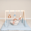 Little Dutch - Babygym - Forest Friends LD8910