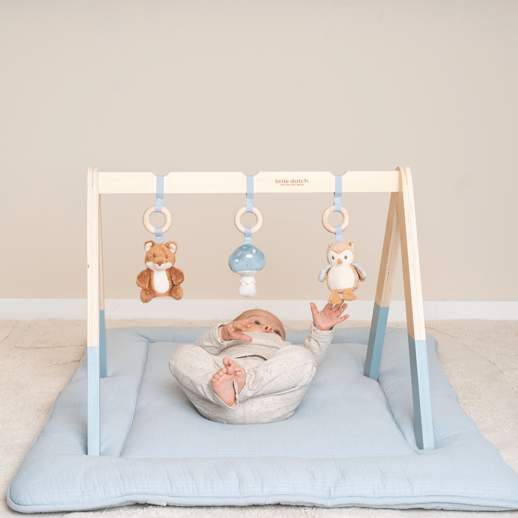 Little Dutch - Babygym - Forest Friends LD8910