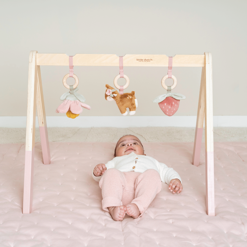 Little Dutch - Babygym - Fairy Garden LD9010