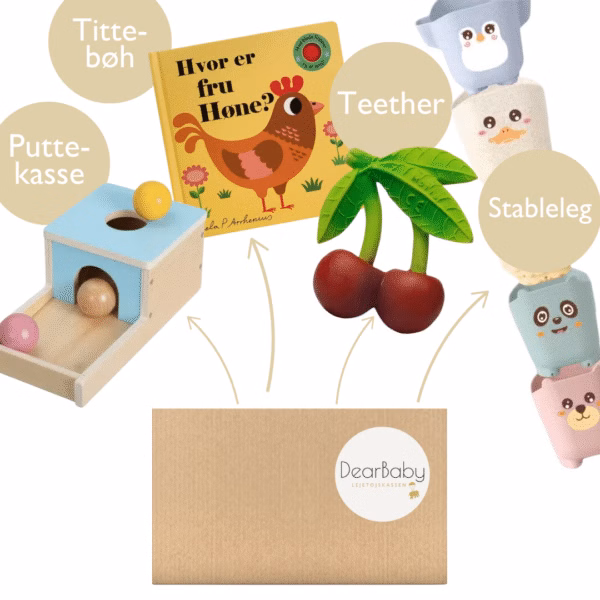 Utvecklingsbox stimulerande leksaker för barn i 5:e Utvecklingssprånget