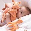 FanFan le Faon 850808 Cuddle Cloth Presentset