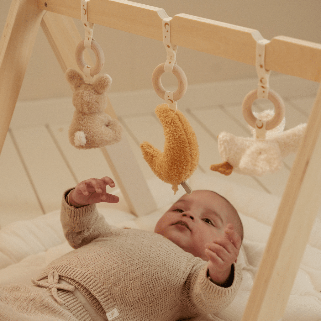 Little Dutch LD8410 Babygym Nyfödd