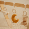 Little Dutch LD8410 Babygym Nyfödd