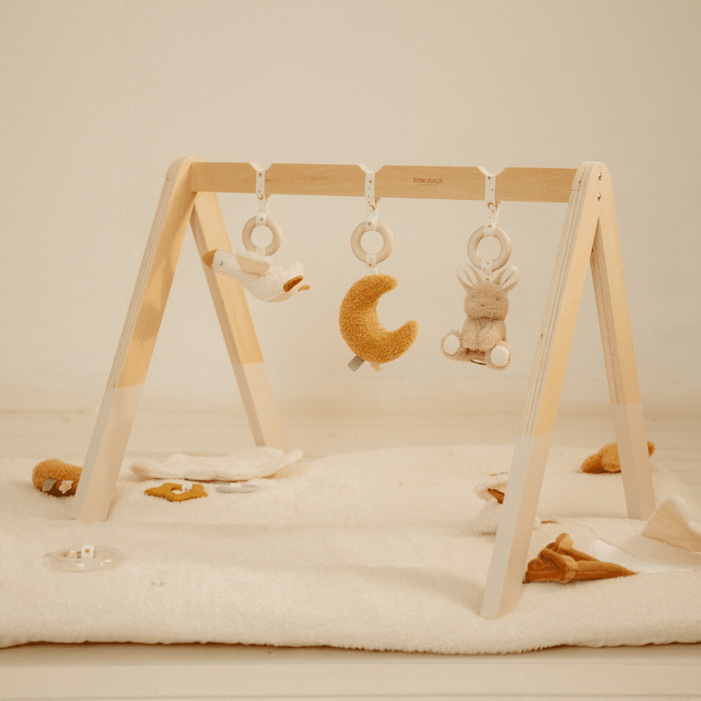 Little Dutch LD8410 Babygym Newborn