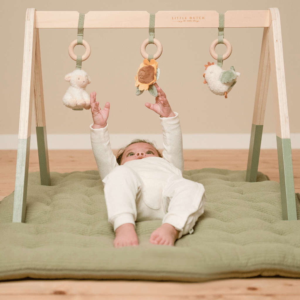 Lilla Holländska - Babygym LD8810 Lilla Gården
