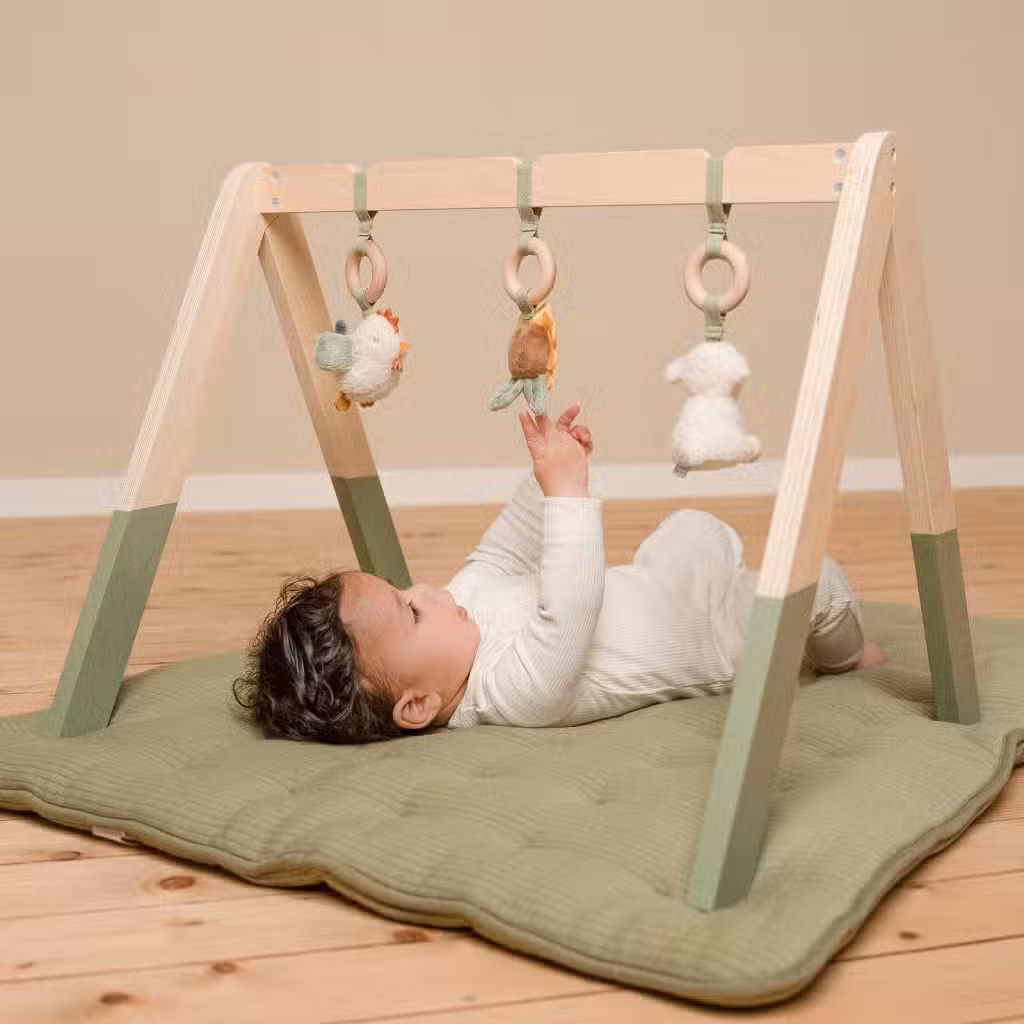 Little Dutch - Babygym LD8810 Little Farm