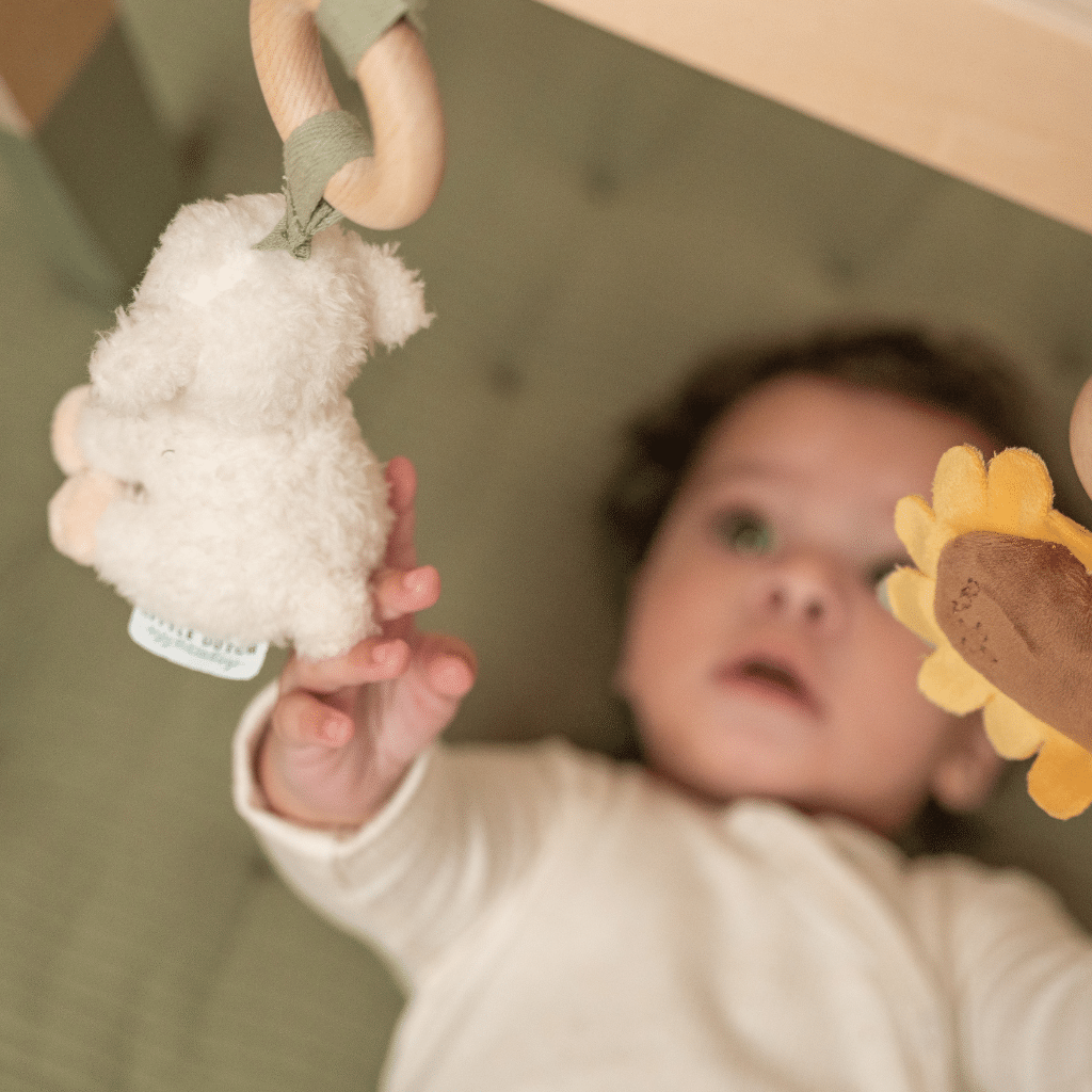 Lilla Holländska - Babygym LD8810 Lilla Gården