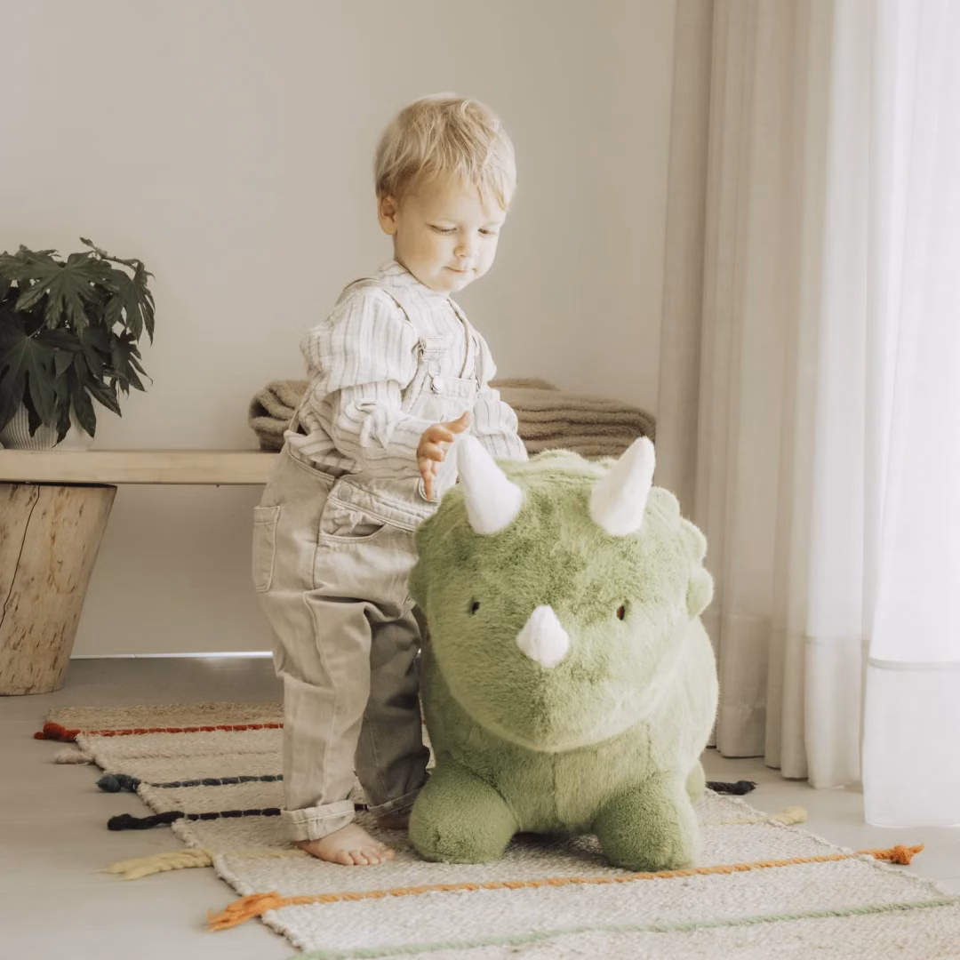 Wild&Soft Soft Bouncy - Dino