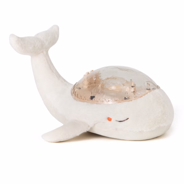 Tranquil Whale cloud b CB9100-WD
