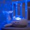 Tranquil Whale cloud b CB9100-WD