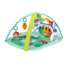 Baby Einstein 4-in-1 Musical Meadow aktivitetsfilt med musik