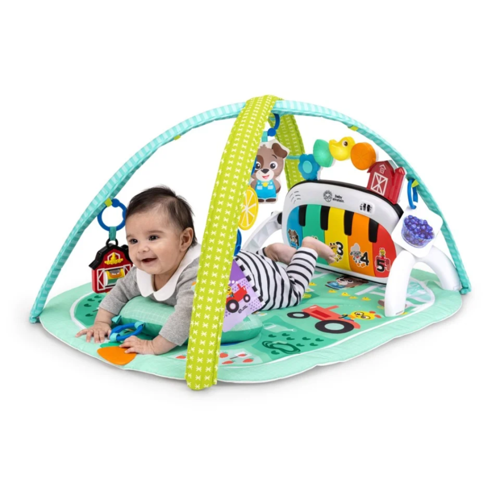 Baby Einstein 4-in-1 Musical Meadow aktivitetsfilt med musik