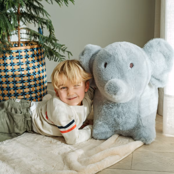 wild and soft elefant