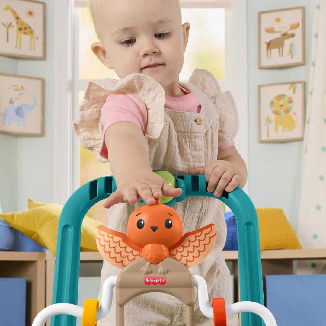 Fisher-Price Skildpadde Gåvogn med bolde