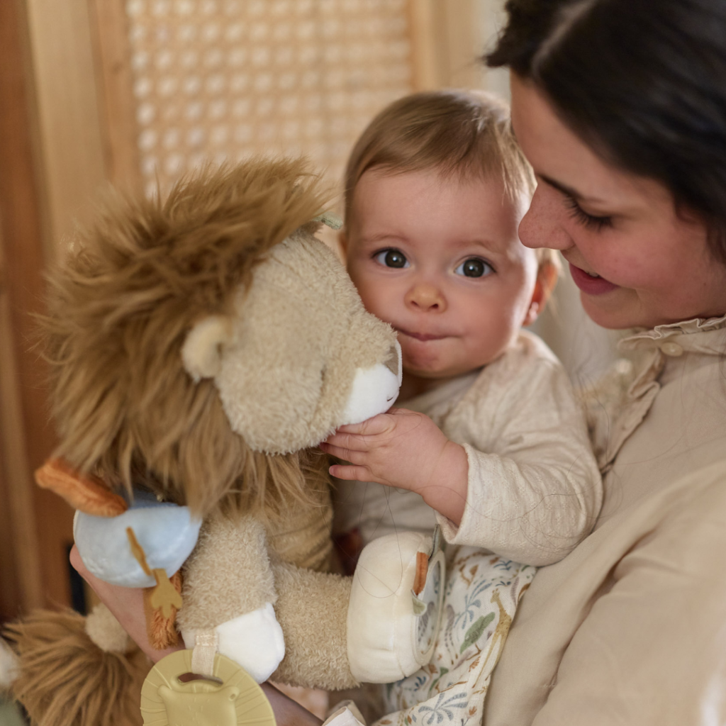 Little Dutch - aktivitetsdjuret lejonet - Safari Friends