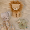 Little Dutch - Presentförpackning - Safari Friends