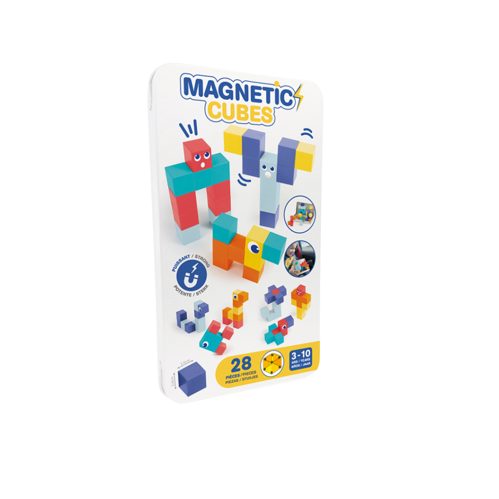 Ludi Magnetiska block LU50057