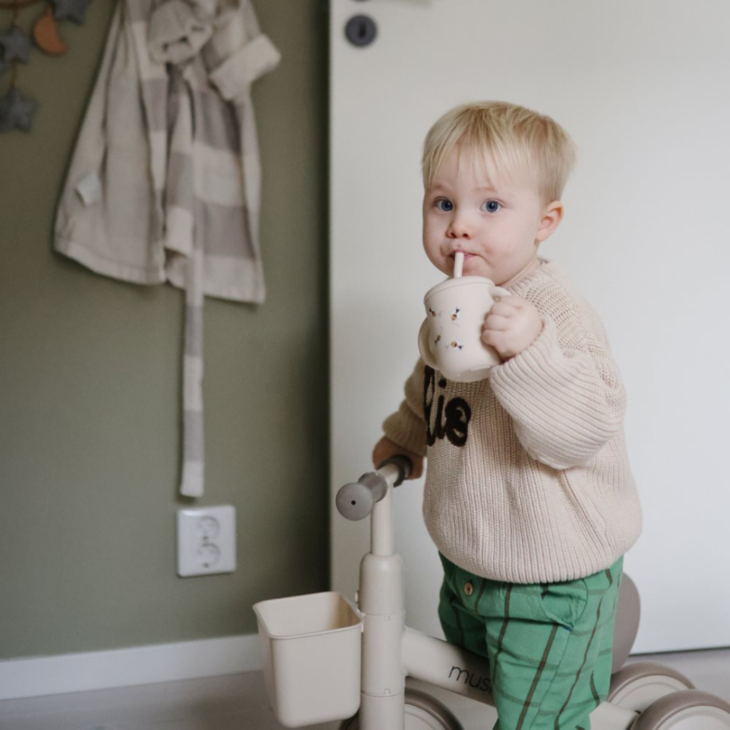 Mushie Silicone Feeding Toddler Set barnservis