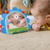Fisher Price Prop 'n Go aktivitetsspegel