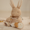 Little Dutch – Aktivitetsnalle Bunny – Kanin för nyfödda