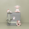 Little Dutch – Presentlåda – Little Farm
